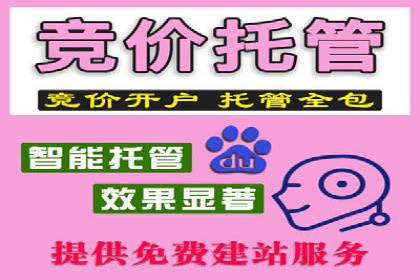 SEM托管服务案例解析：提升企业在线曝光